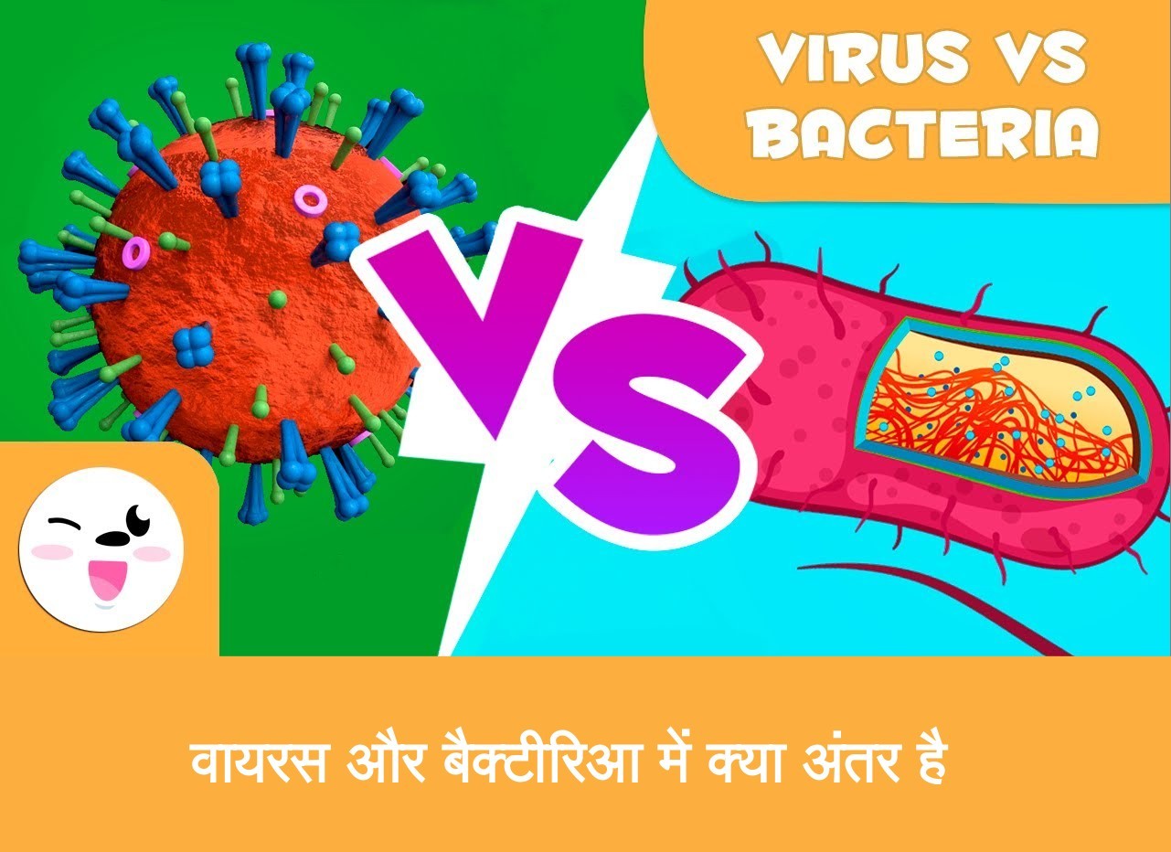 difference between bacteria and virus वायरस और बैक्टीरिआ में क्या अंतर है