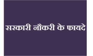 सरकारी नौकरी के फायदे - Benefits of Government Job