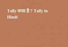 Tally क्या है - Tally in Hindi - Tally Software in Hindi - Tally ki jankari