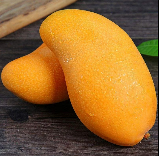गोल्डन दशहरी आम