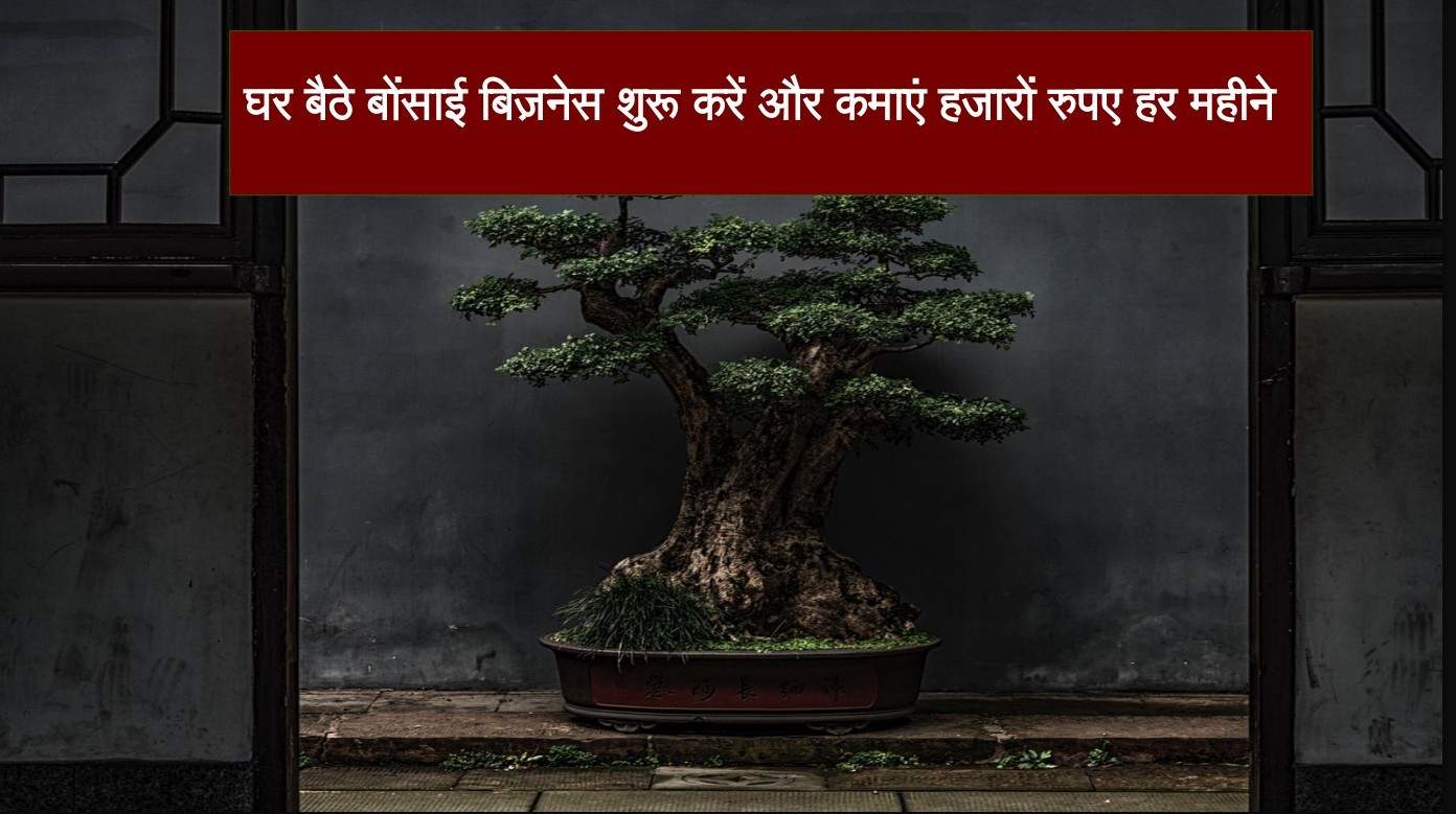 high-profit-bonsai-business-from-home बोनसाई का बिजनेस