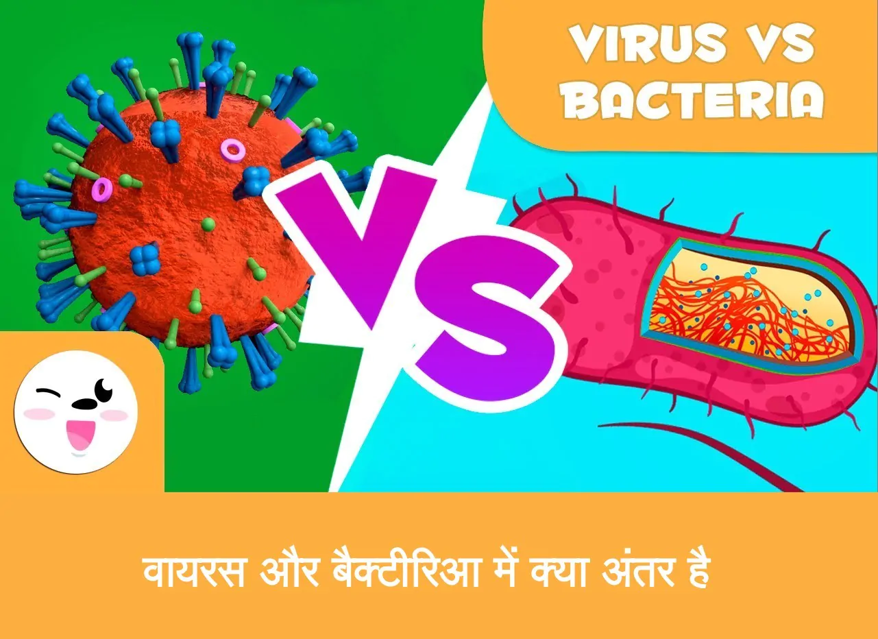 difference between bacteria and virus वायरस और बैक्टीरिआ में क्या अंतर है