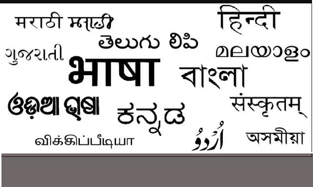 भारतीय संविधान में कितनी भाषा मान्यता प्राप्त है?