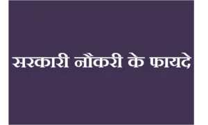 सरकारी नौकरी के फायदे - Benefits of Government Job